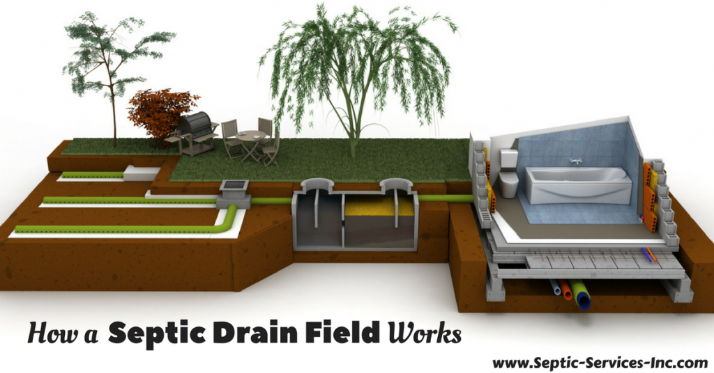 How a Septic Drain Field Works - Septic Services, Inc.